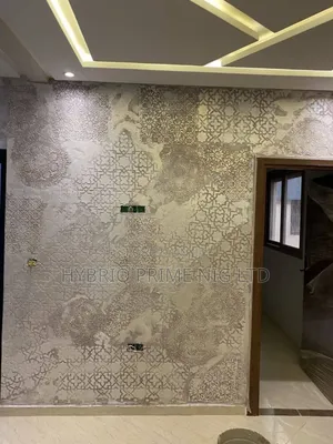 Luxury Interior Decorative Painting in Lagos – Unique Wall Finishes