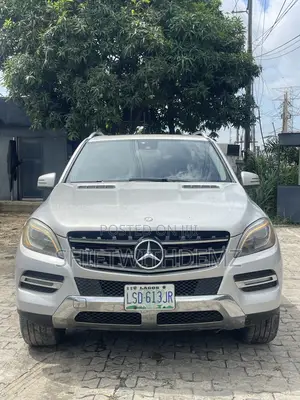 Mercedes-Benz M Class 2015 Silver