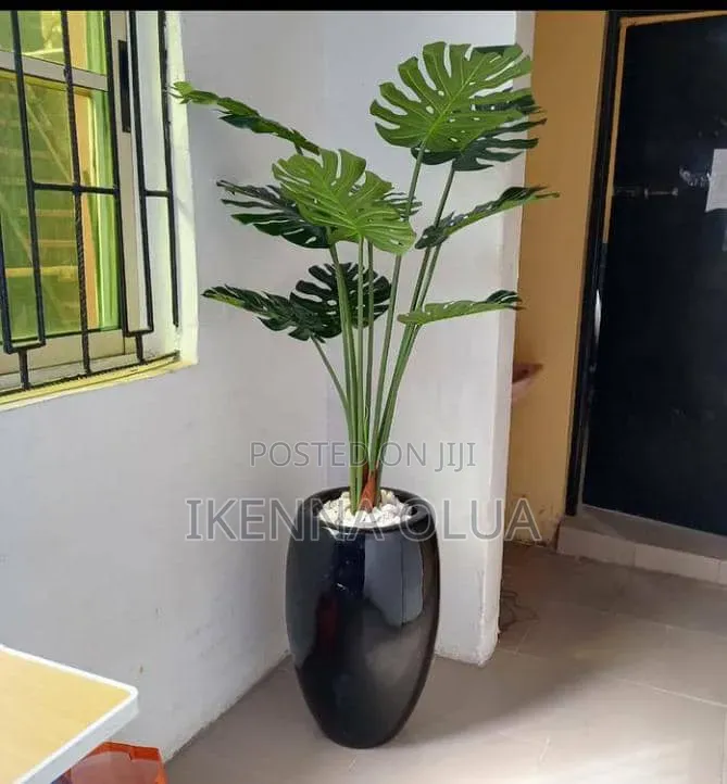 Flowers Vase