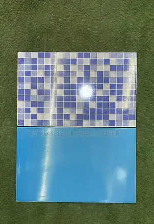 25x40 Nigerian Swimming Tile
