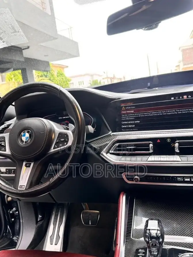 BMW X6 2021 Gray