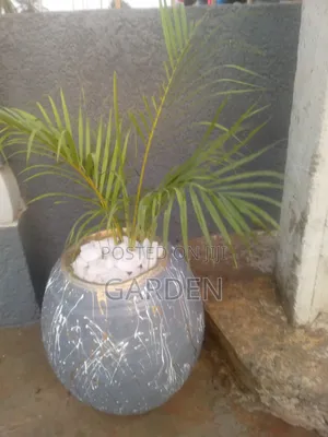 Cement Flower Pot