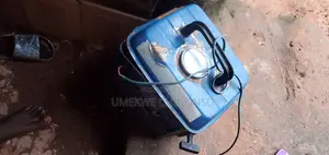 Tiger Gene