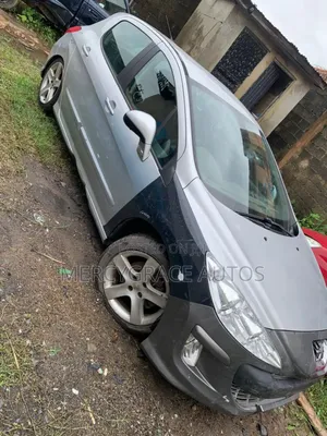 Peugeot 207 2009 Silver