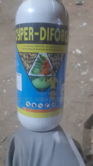 Kashe Kwari