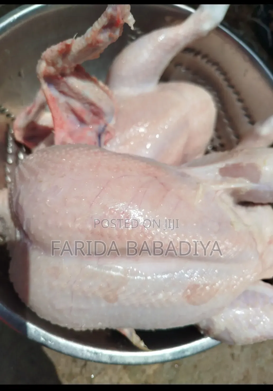 7weeks Broilers Chicken