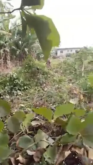 Landed Property