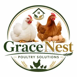 Broilers and Noilers Seller