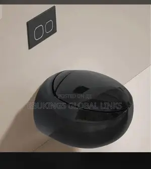 Matt Black Oval Shaped Concealed Wc