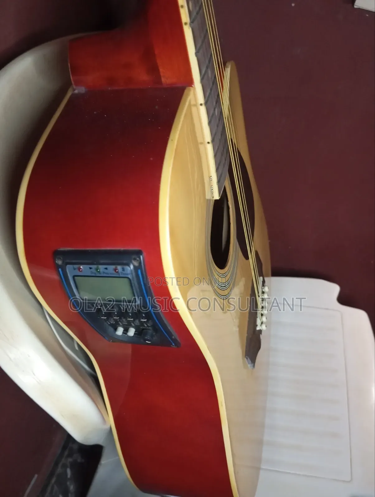 Semi Acoustic Guitar