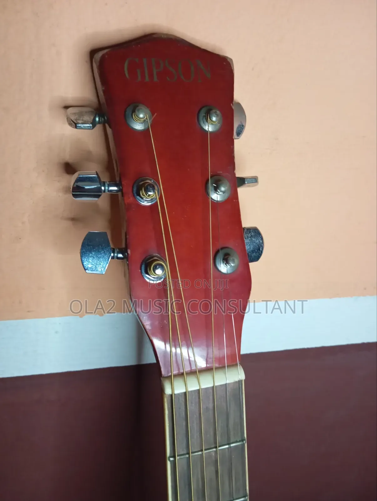 Semi Acoustic Guitar