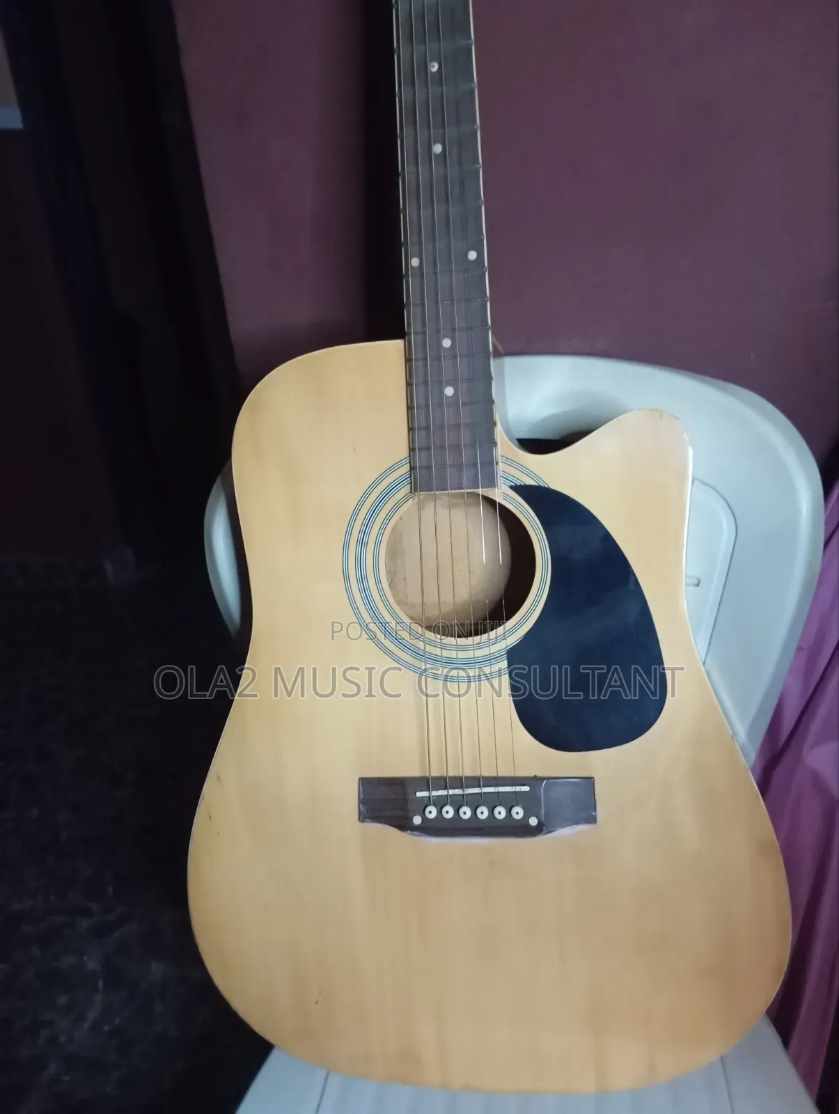 Semi Acoustic Guitar