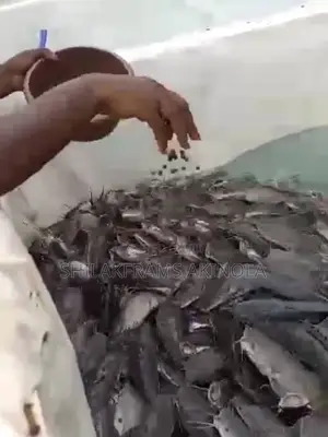 Post Fingerlings