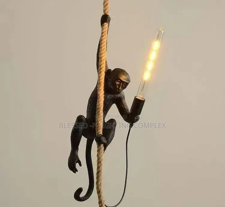 Monkey Dropping Light