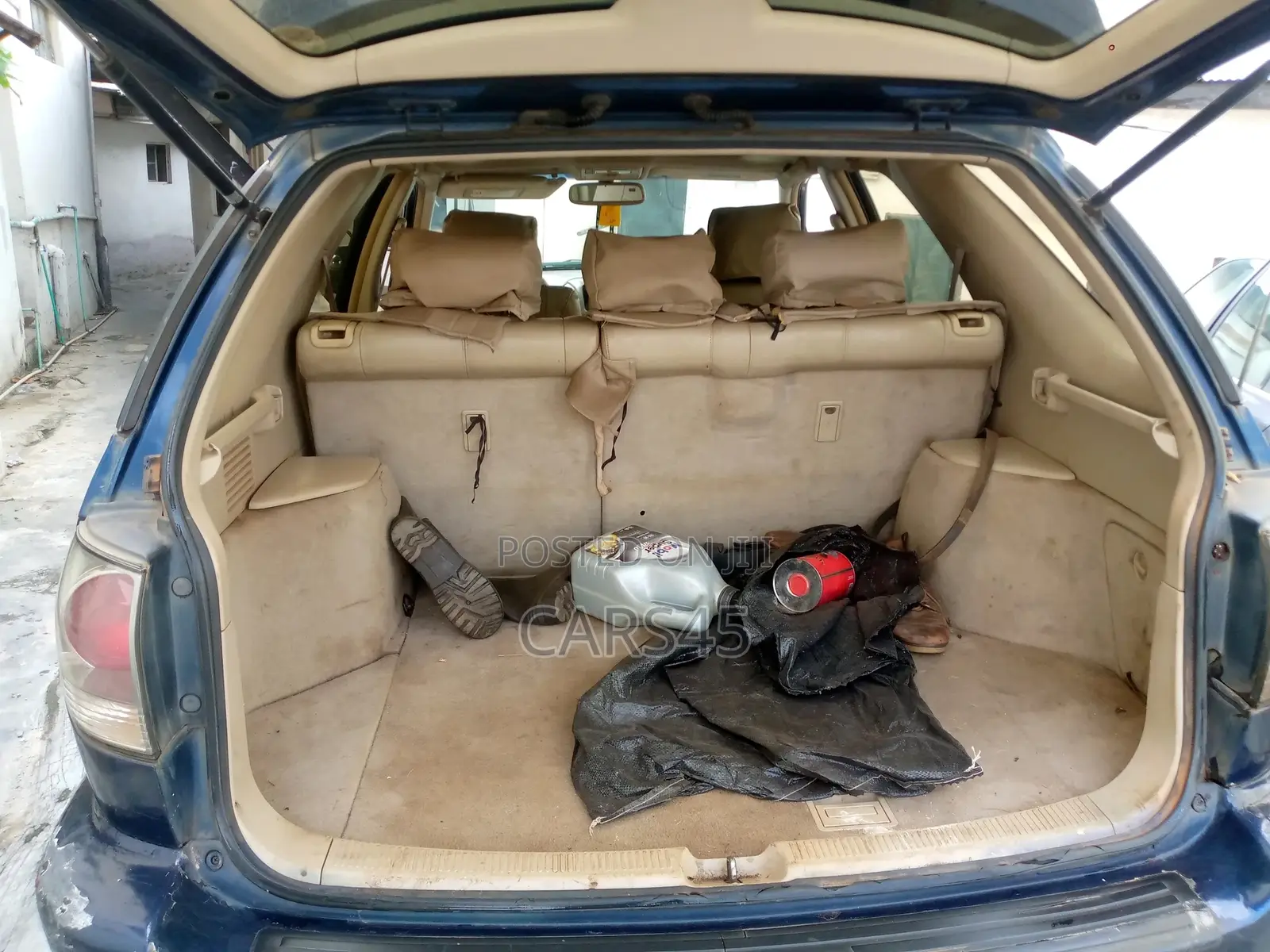 Lexus RX 2001 Blue