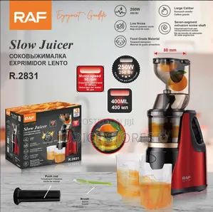 Raf Slow Juicer