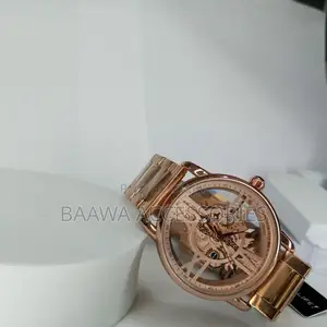 Nepic Gold Skeleton Automatic Men's Chain Watch