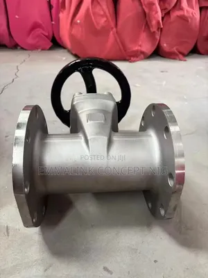 Stainless Gate Valve Dn100