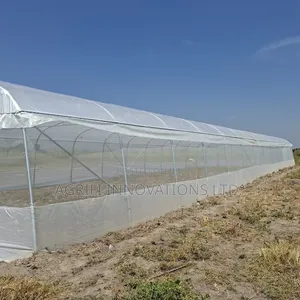 192sqm Commercial Greenhouse for Sale in Nigeria (8m X 24m)