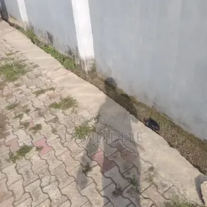 Furnished 2bdrm Block of Flats in Yusuf Estate, Alakuko for rent