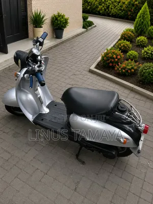 Vento 2025 Gray