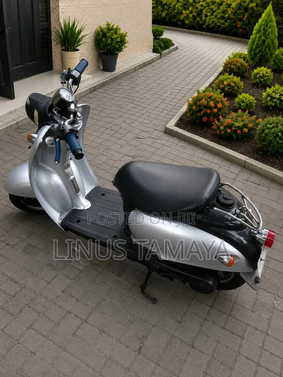 Vento 2025 Gray