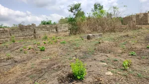 1 Plot of Land at Elekuru Junction Moniya