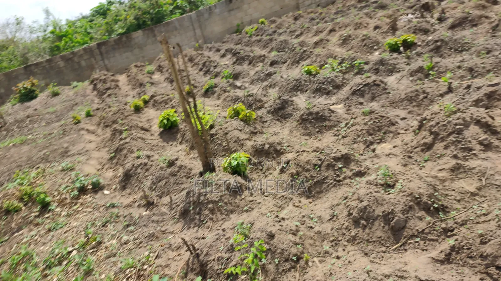 1 Plot of Solid Land at Elekuru Junction Moniya