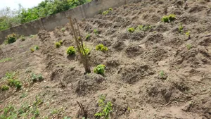 1 Plot of Solid Land at Elekuru Junction Moniya
