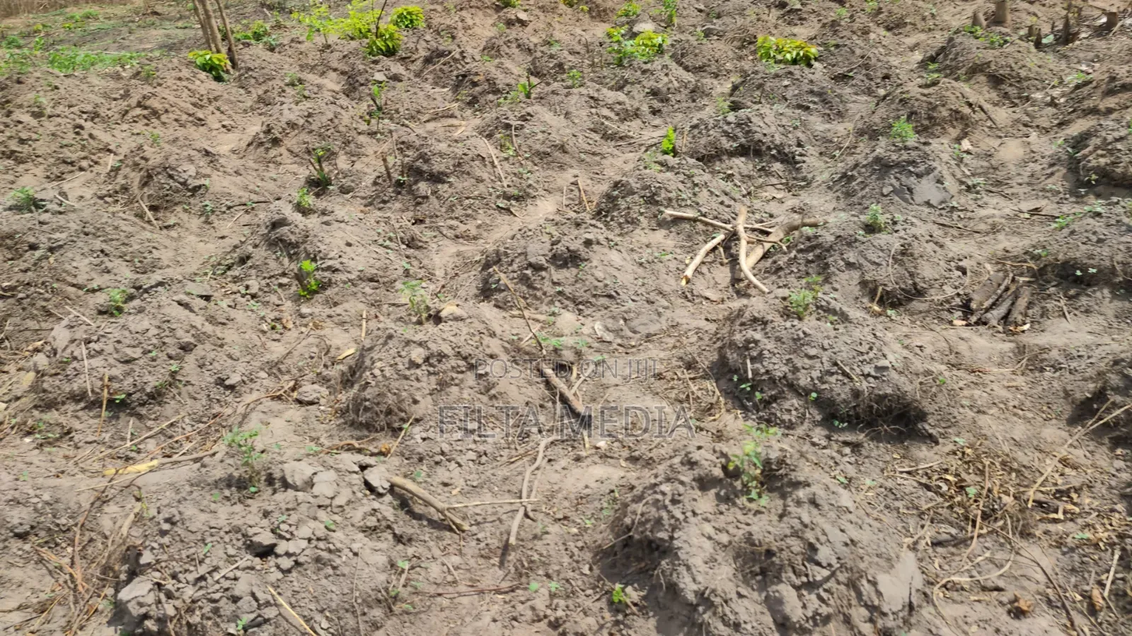 1 Plot of Solid Land at Elekuru Junction Moniya