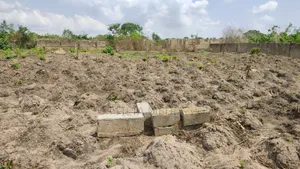 1 Plot of Solid Land at Elekuru Junction Moniya