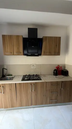 Furnished 1bdrm Apartment in Freedom Way, Lekki Phase 1 for rent