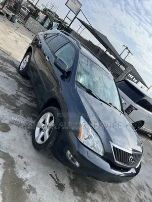 Lexus RX 350 2007 Gray