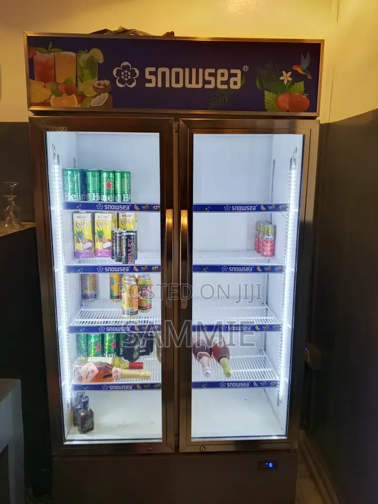 700l Snowsea Chiller