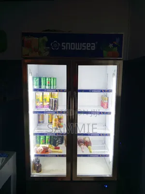 700l Snowsea Chiller
