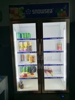 700l Snowsea Chiller