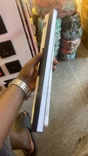 Magnetic Profile Light