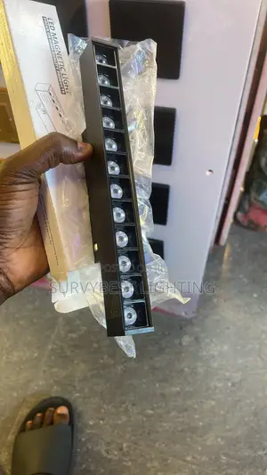 Magnetic Profile Light