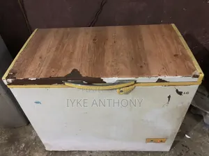 209l Perfectly Working Lg Freezer