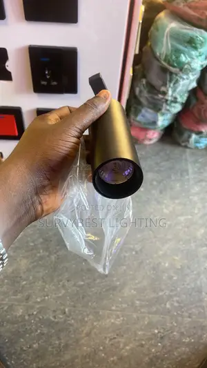 Magnetic Profile Light