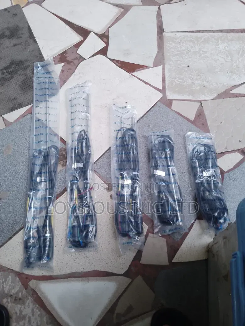 Pt 100 Thermocouple Sensor