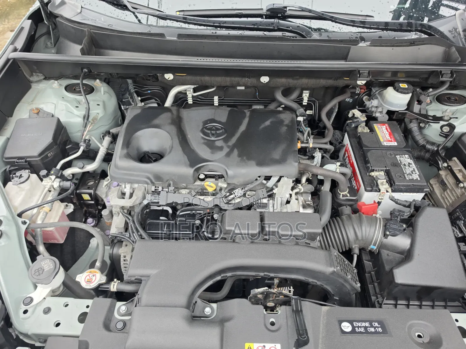 Toyota RAV4 2022 Green