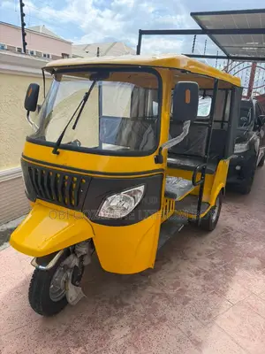 High Quality Brand New Tricycle Keke Napeps.