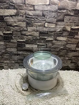 Food Warmer