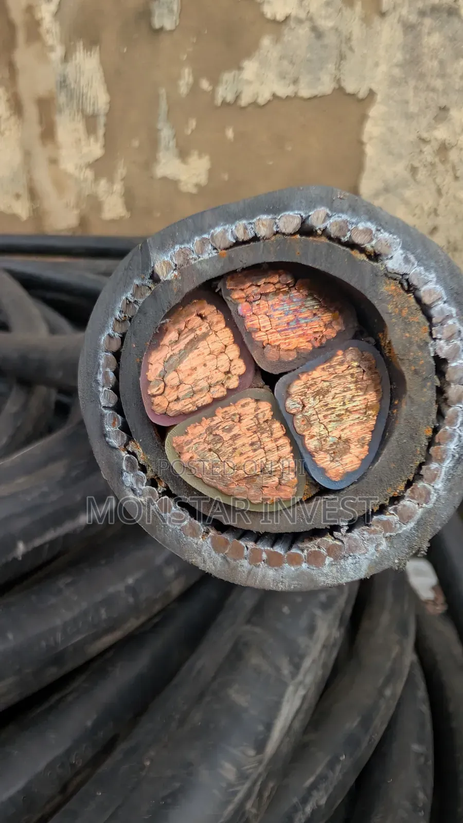 150mm Full Gage Armored Cable