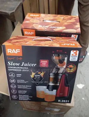 Slow Juicer