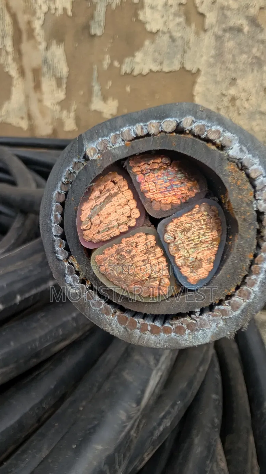 Armored Cable