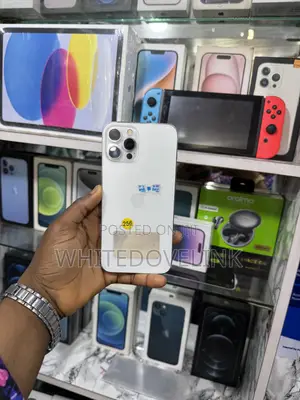 Apple iPhone 12 Pro Max 256 GB Silver