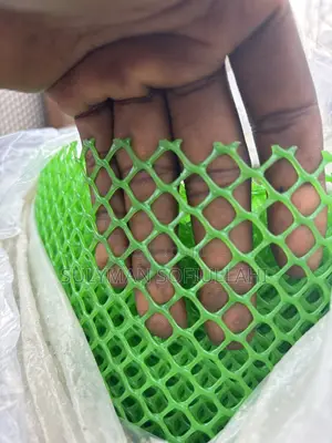 Stainless Mesh Wire