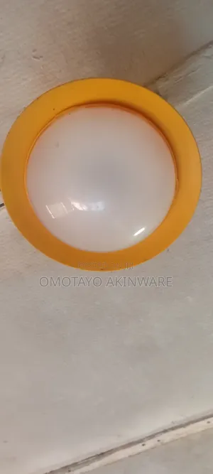 Sun King Solar Light/Lamp